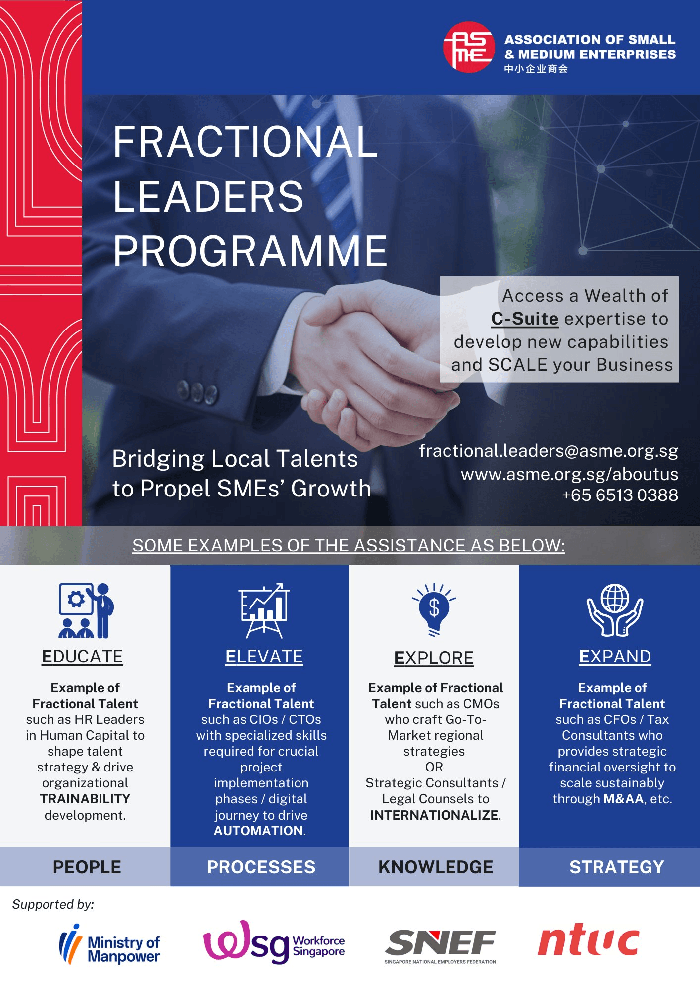 Fractional Leaders Programme